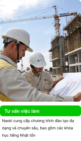 Tư vấn việc làm